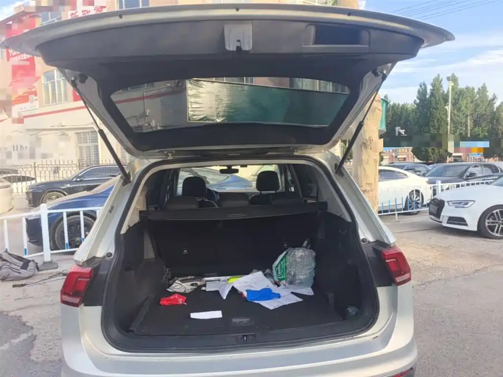 Volkswagen Tiguan L 2018 330TSI Automatic 2WD Luxury Edition фото 19