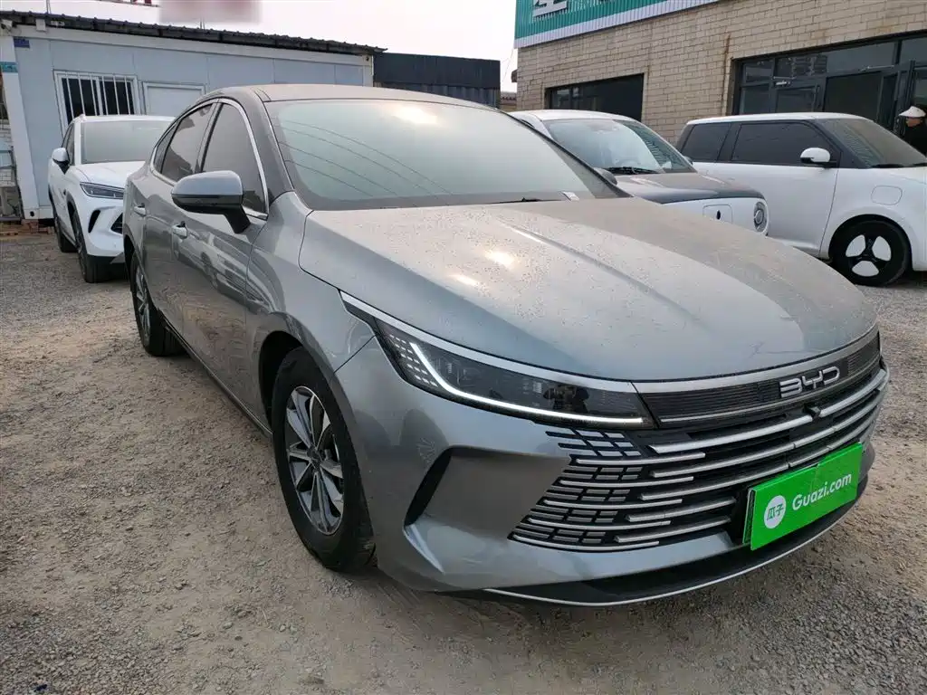 BYD Destroyer 05 2023 Champion Edition DM-i 55KM Luxury фото 4