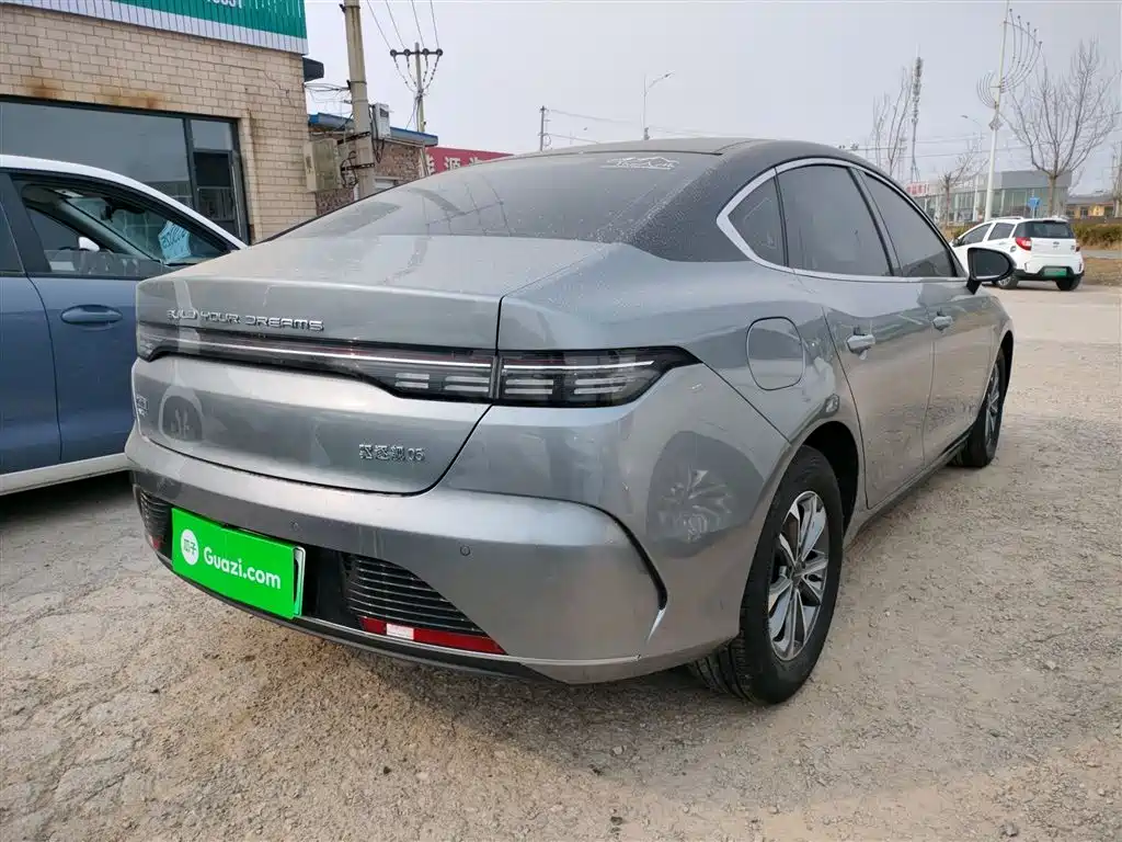 BYD Destroyer 05 2023 Champion Edition DM-i 55KM Luxury фото 7