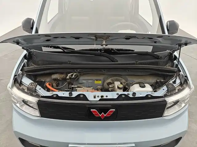 Фото 12 - Wuling Motors Hongguang MINIEV