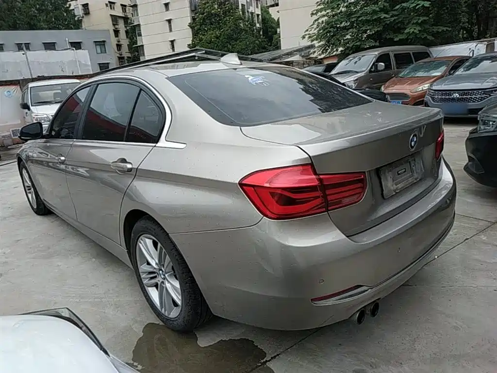 BMW 3 Series 2017 320Li Fashion фото 5