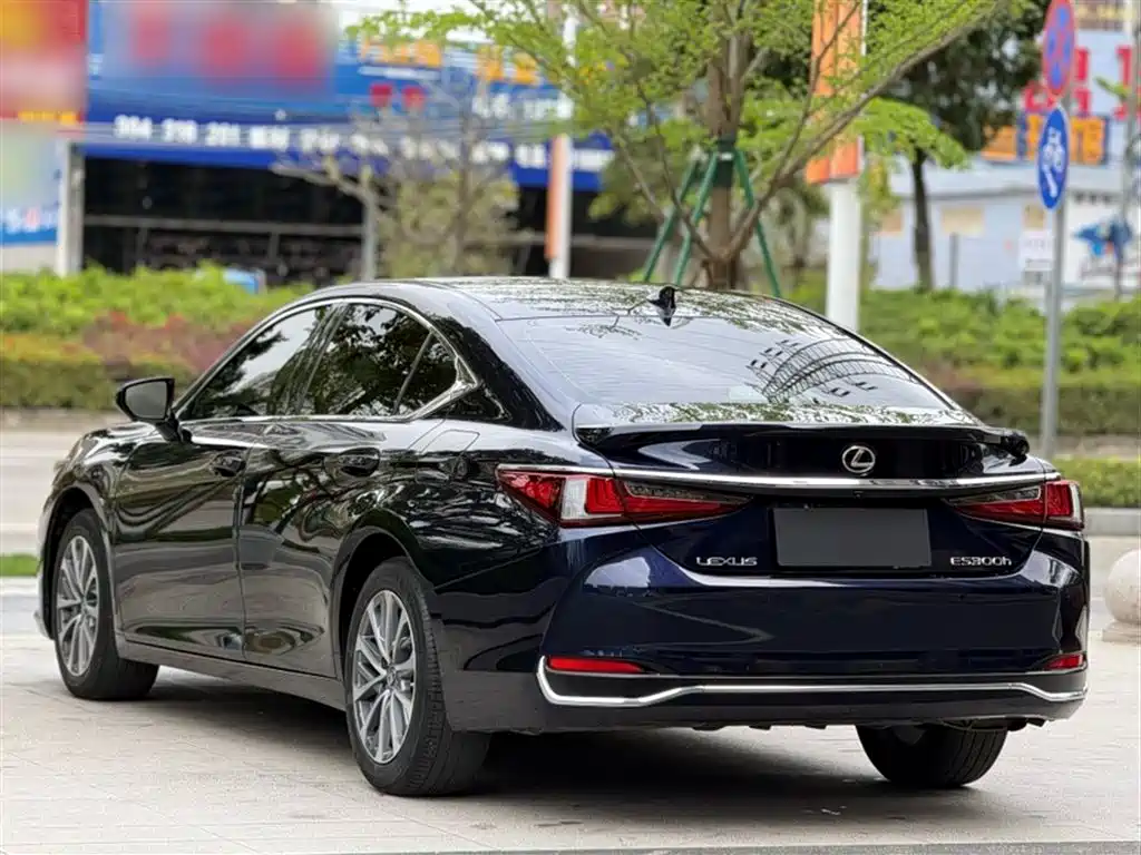 Lexus ES 2023 200 Excellence Edition фото 9