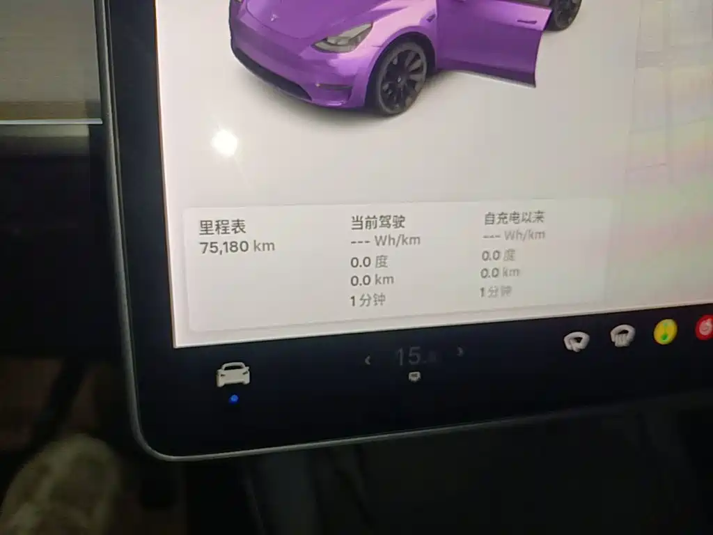 Tesla Model Y 2021 2021 Standard Range Rear-Wheel Drive