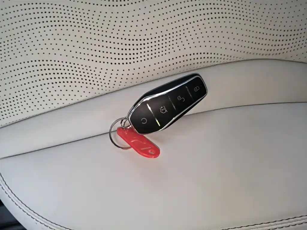 BYD Seal 06 New Energy 2025 DM-i Smart Drive Edition 120KM Luxury фото 9