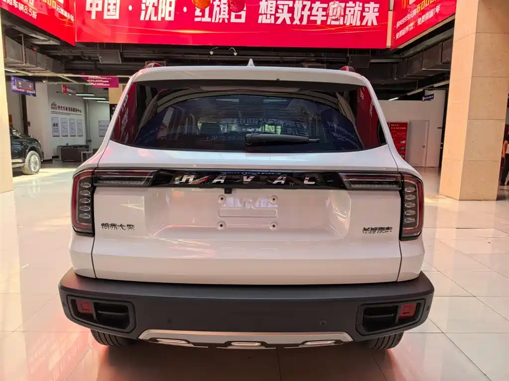 Haval Big Dog 2021 1.5T DCT 2WD Border Collie Edition фото 7