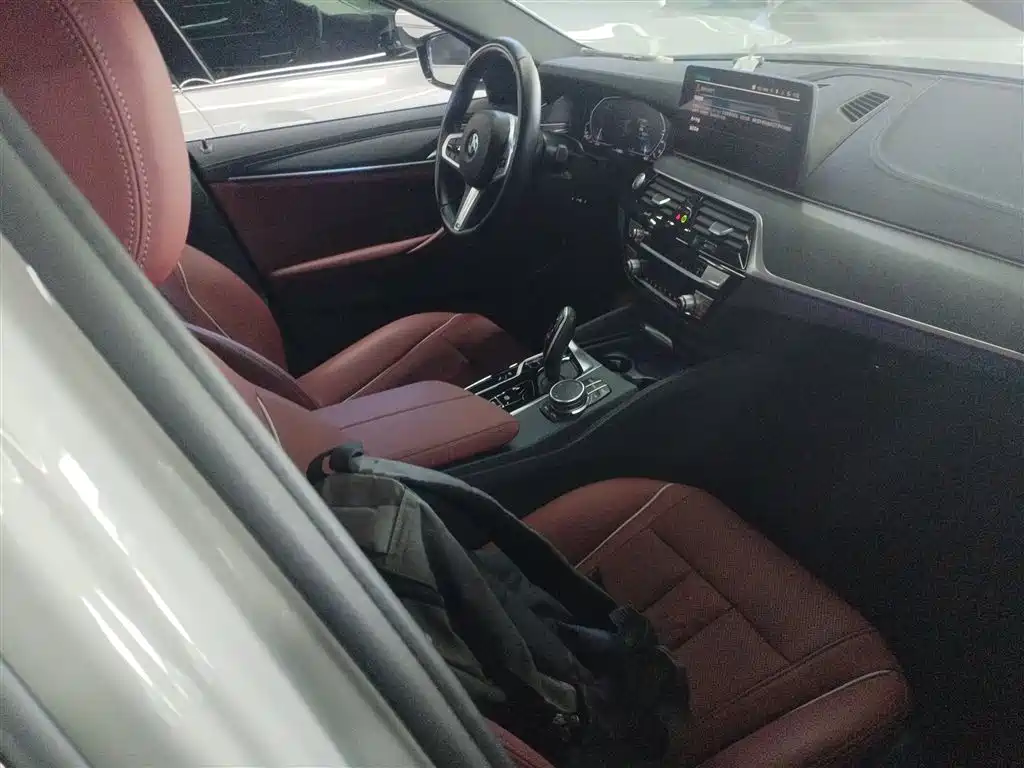 BMW 5 SERIES NEW ENERGY