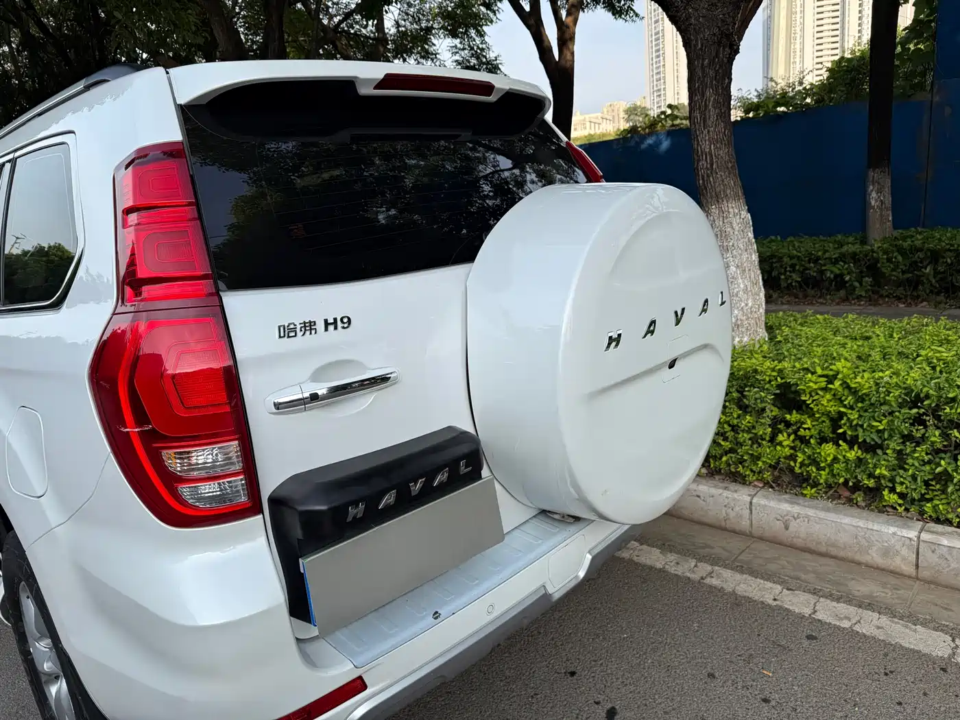 Haval H9 2022 2.0T Gasoline AWD All-Terrain 5-Seater фото 16