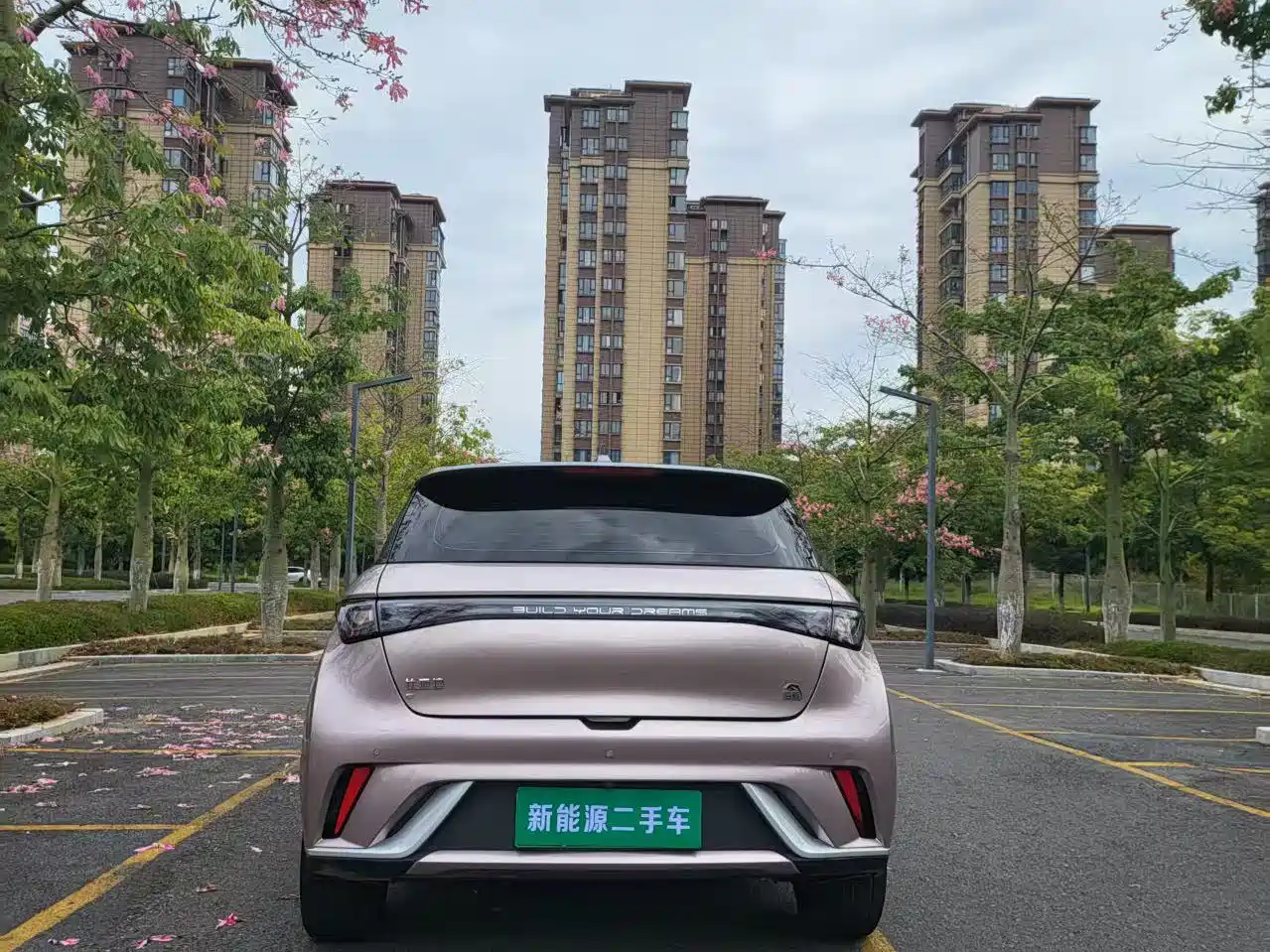 BYD Dolphin 2021 Model 405km Fashion Edition фото 10
