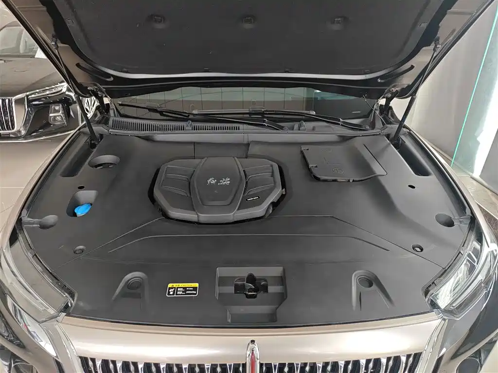 Hongqi HS5 2022 2.0T Smart Connection Flag Enjoy Shopping Edition фото 20