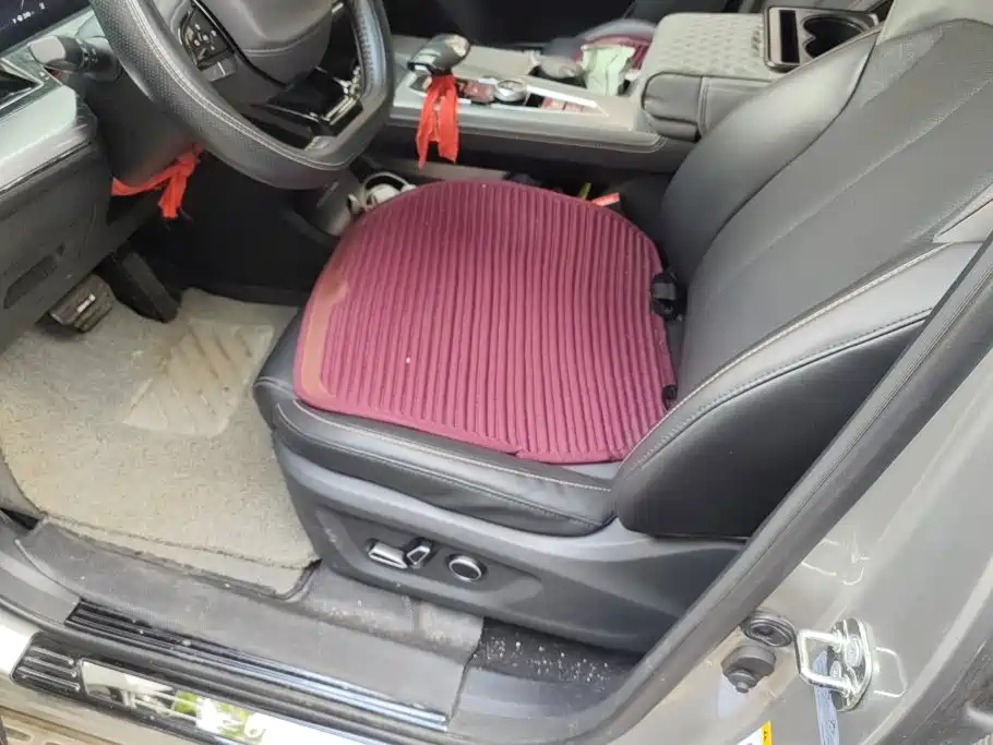 Changan Oshan Z6 2024 2023 Blue Whale 1.5T DCT Smart Leader