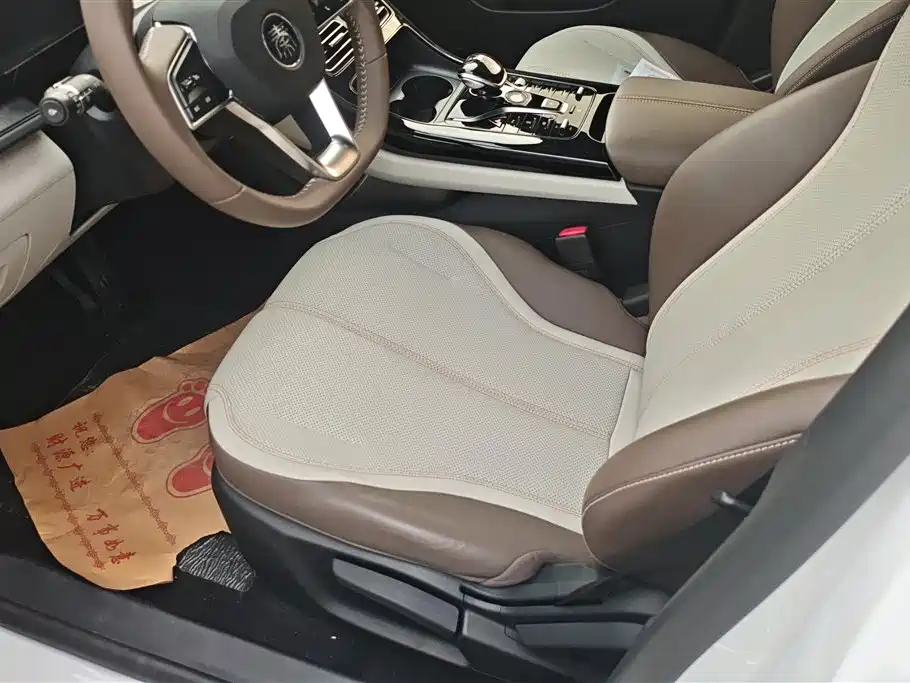 BYD Qin PLUS 2024 Glory Edition DM-i 55KM Leading фото 9
