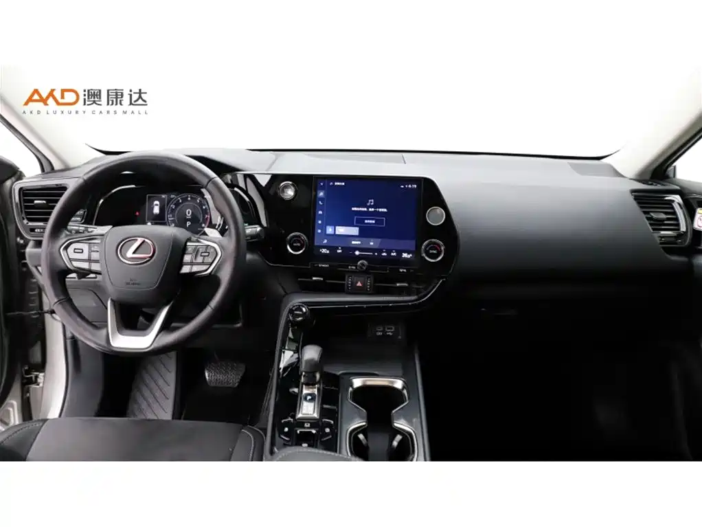 Фото 5 - Lexus NX