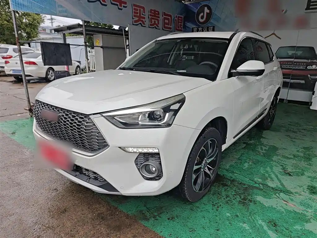 Haval H6 Coupe 2018 Red Label 1.5T Auto 2WD Ultra Luxury