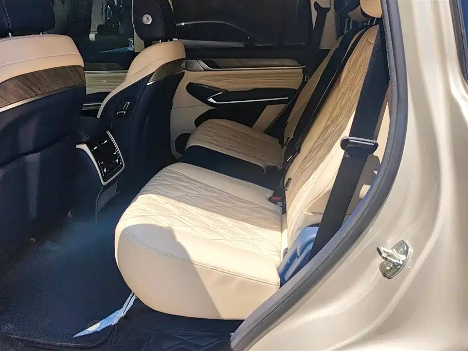 Tank 500 2022 3.0T Sport Edition Zaojing 7-Seater фото 11