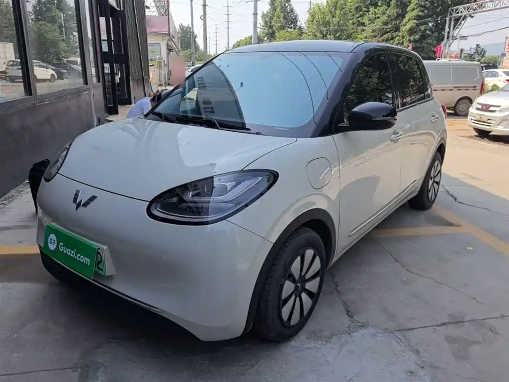 Wuling Motors Wuling Bingo 2024 333km Comfort Edition