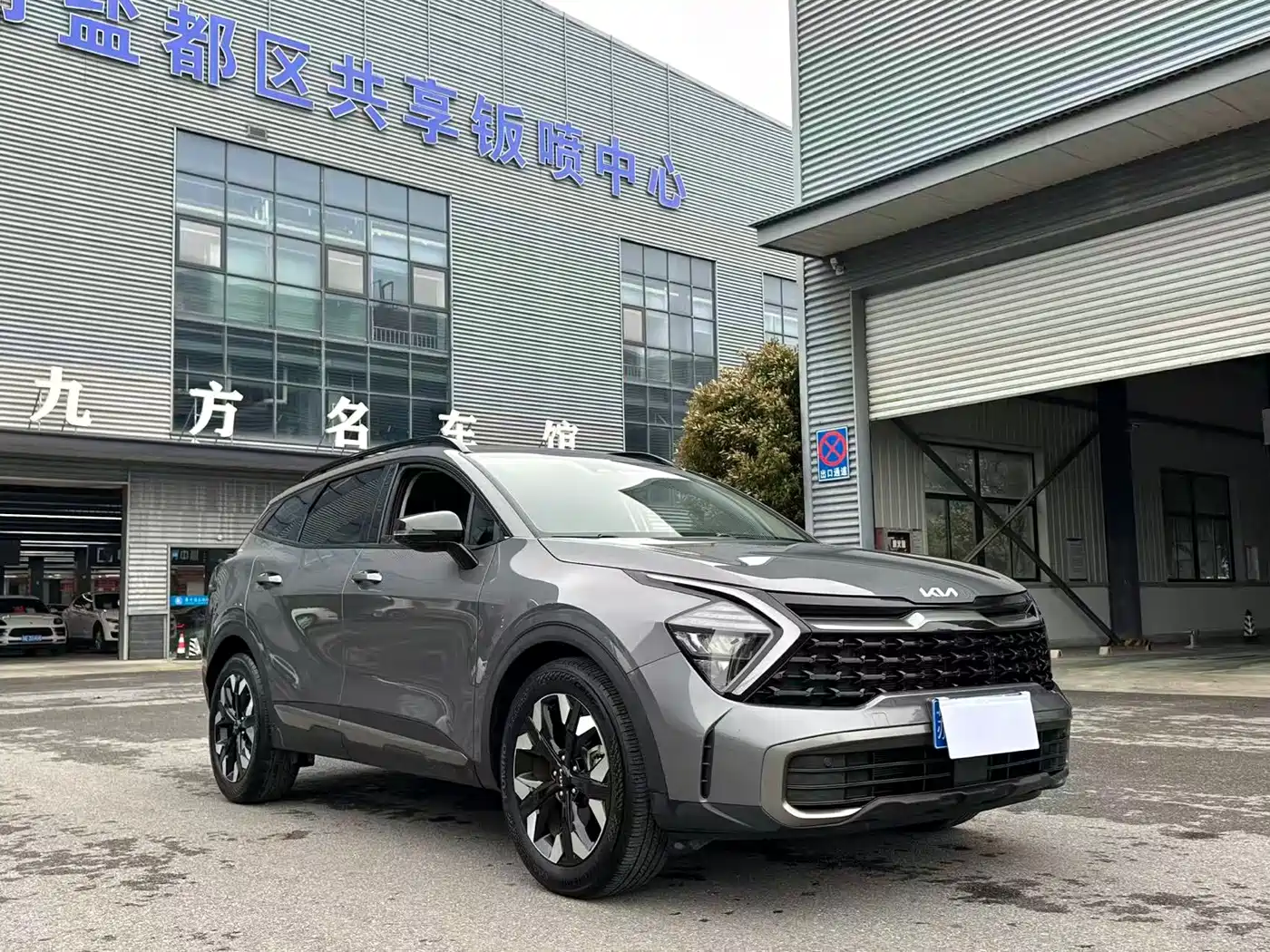 KIA LION PLATINUM EXPANDS THE WORLD