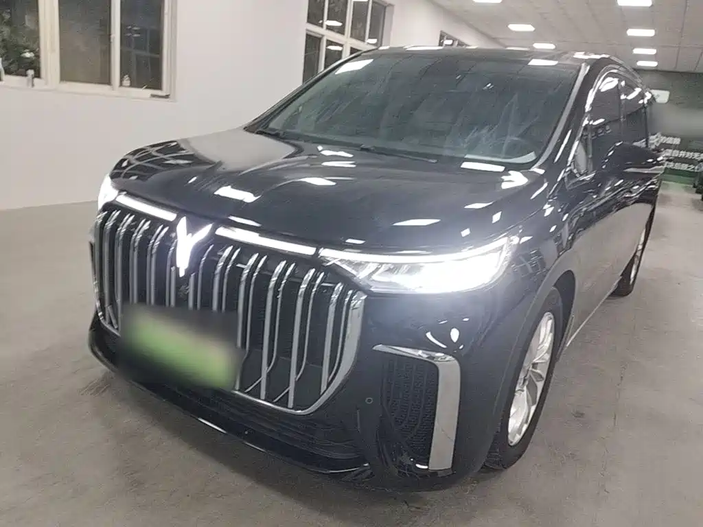 Voyah Auto Voyah Dreamer 2022 Low Carbon Edition Home