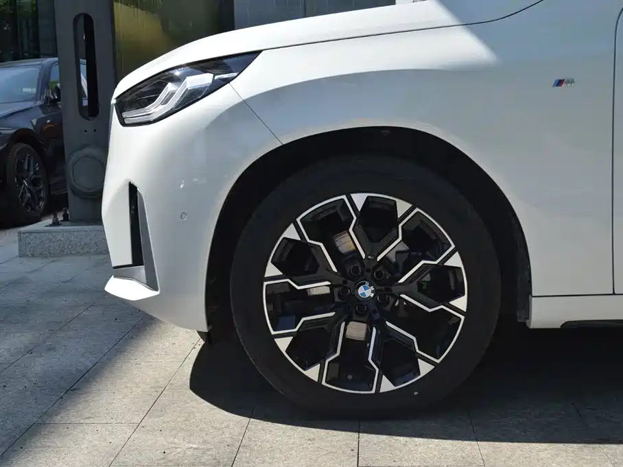 BMW X3 2025 xDrive30L Leading Model M Sport Black Package фото 12