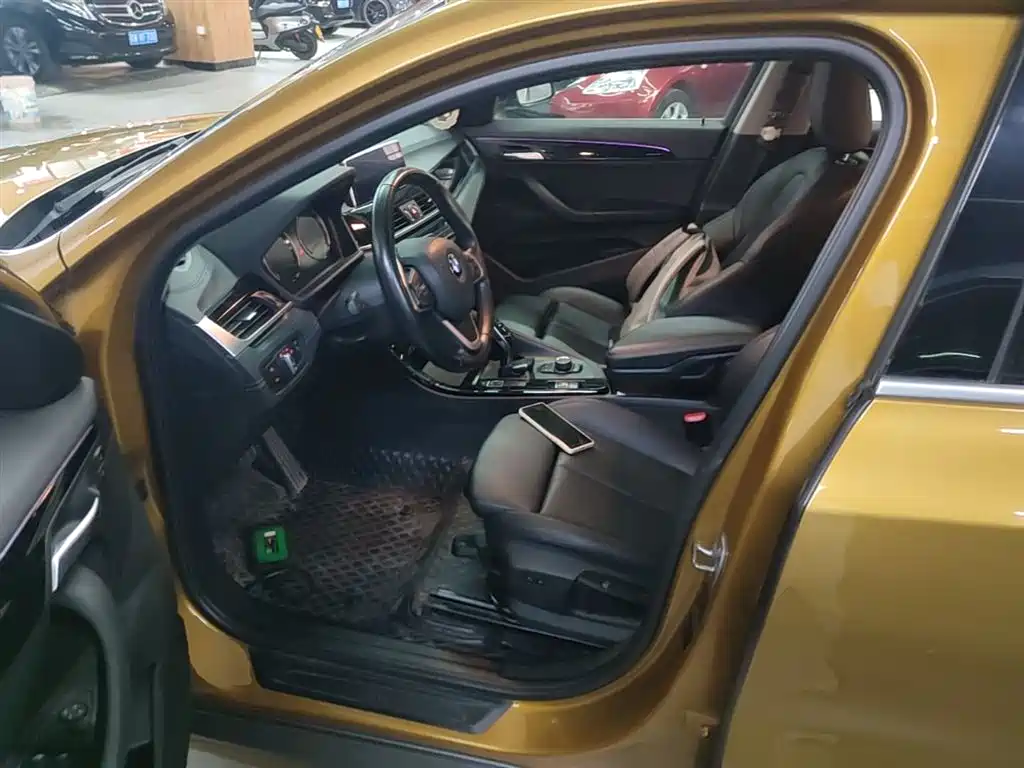 BMW X2 (Import) 2019 sDrive20i M Off-Road Package China VI фото 15
