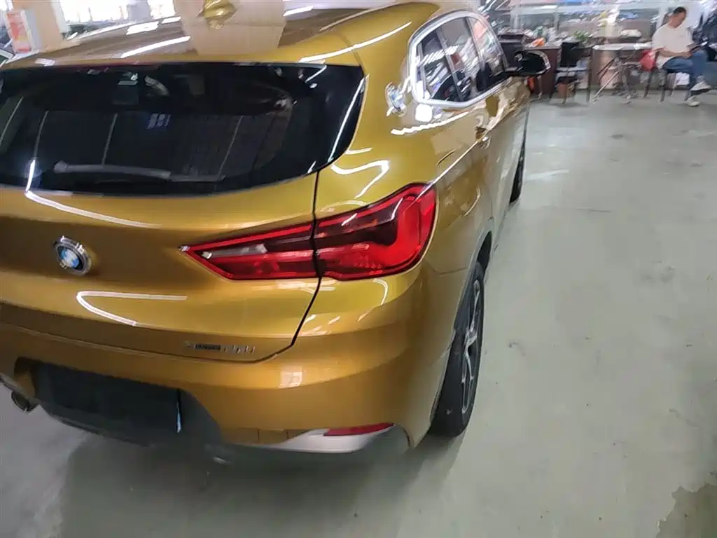 BMW X2 (Import) 2019 sDrive20i M Off-Road Package China VI фото 8