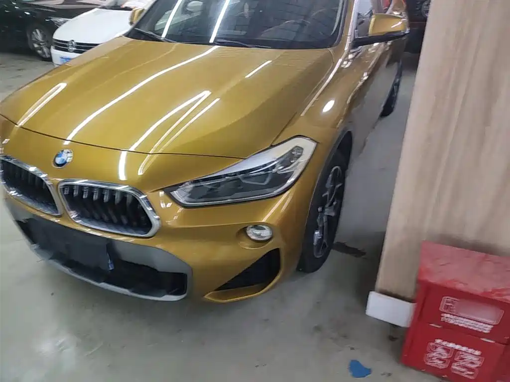 BMW X2 (Import) 2019 sDrive20i M Off-Road Package China VI фото 24