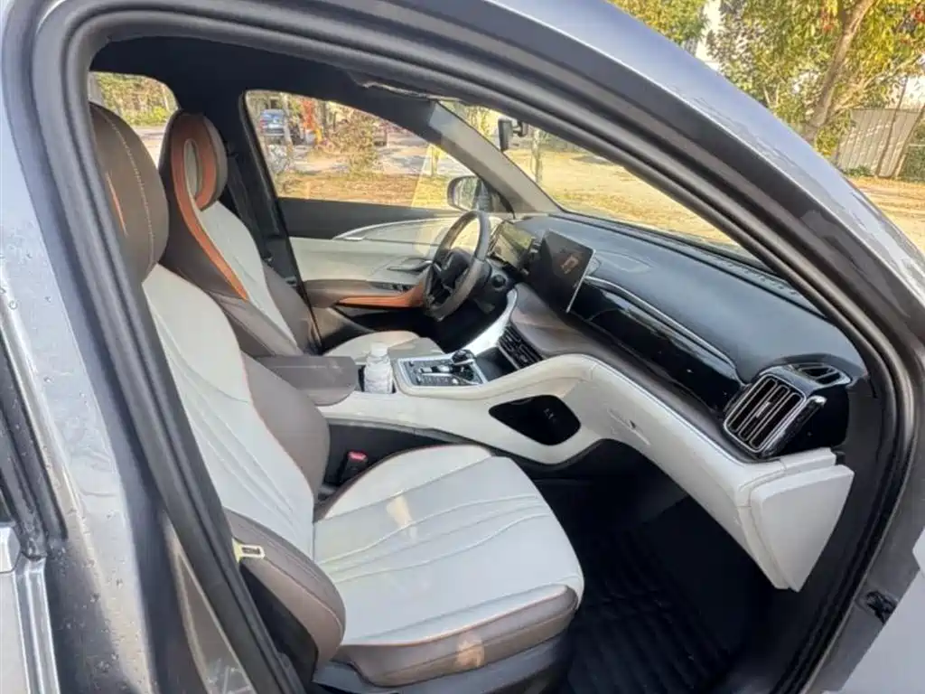 BYD Song Pro New Energy 2022 DM-i 51km Luxury фото 9