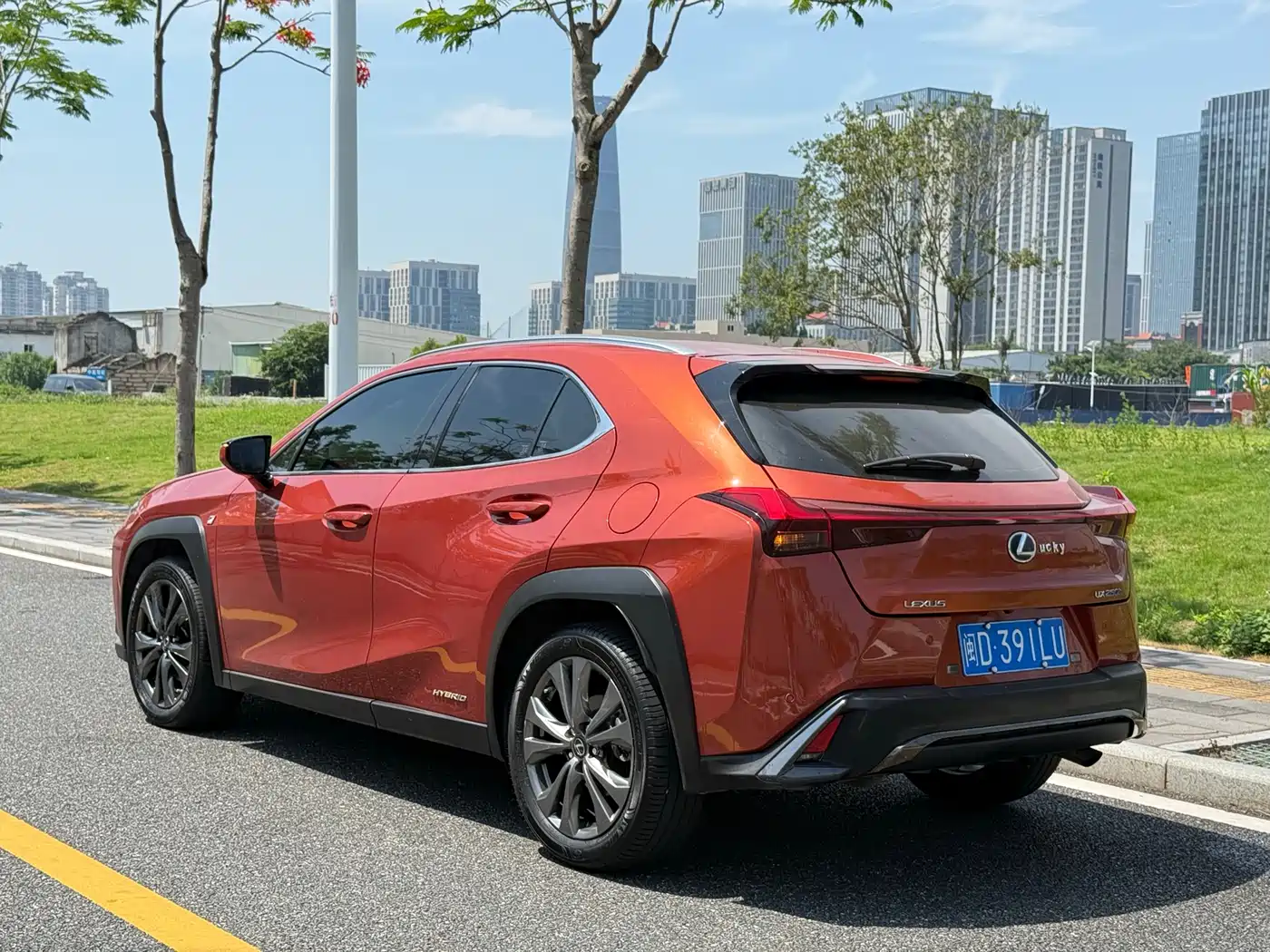 Lexus UX 2019 260h F SPORT Edition (China V) фото 4