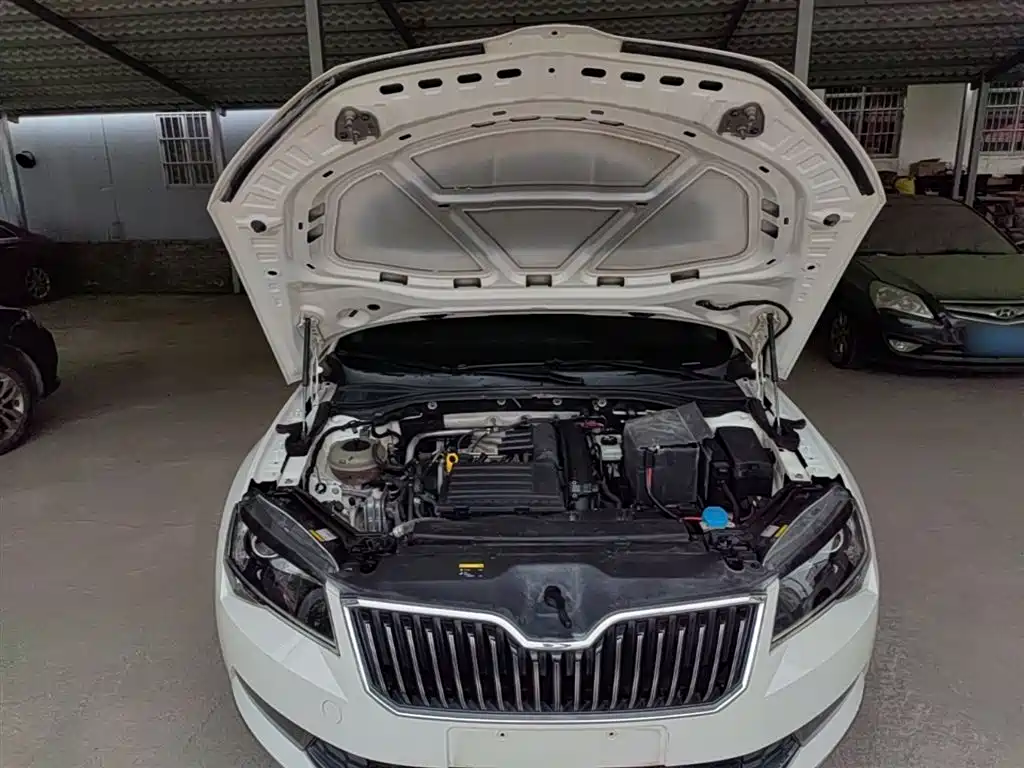 Škoda Superb 2016 TSI280 DSG Pioneer Edition фото 19