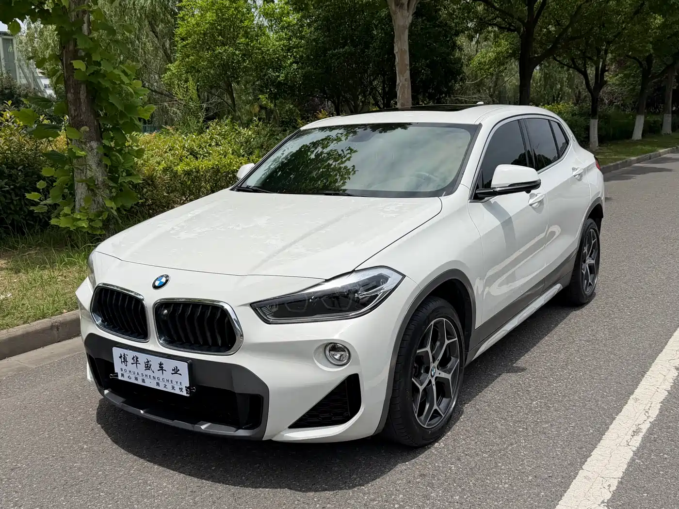 BMW X2 (Import) 2019 sDrive20i M Off-Road Package China VI