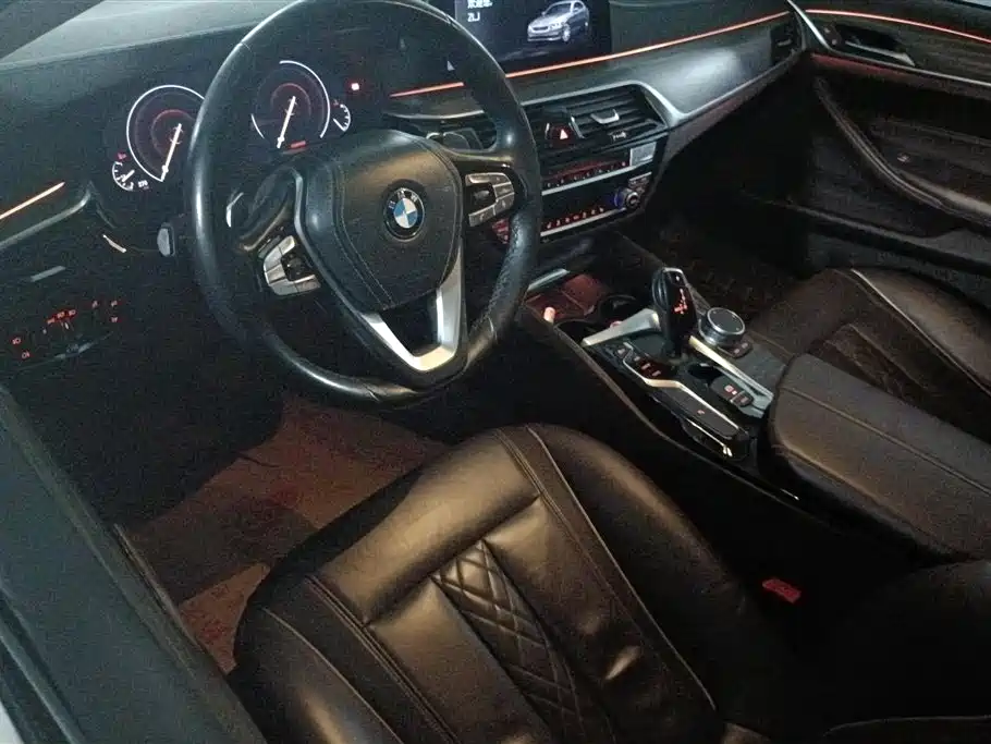 BMW 5 Series 2019 530Li Leading Luxury Package фото 12