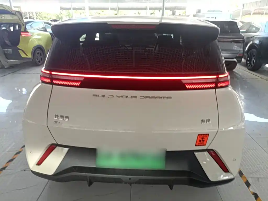 Фото 4 - BYD Seagull