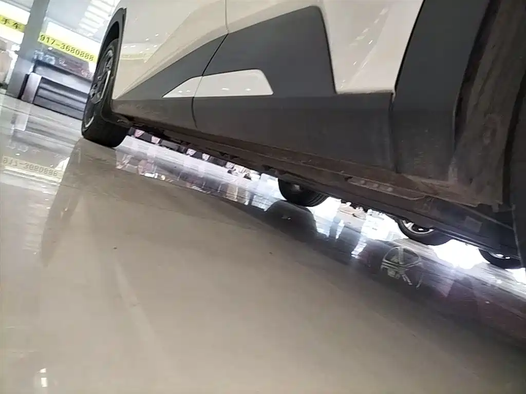BYD Seagull 2023 Flying Edition фото 22