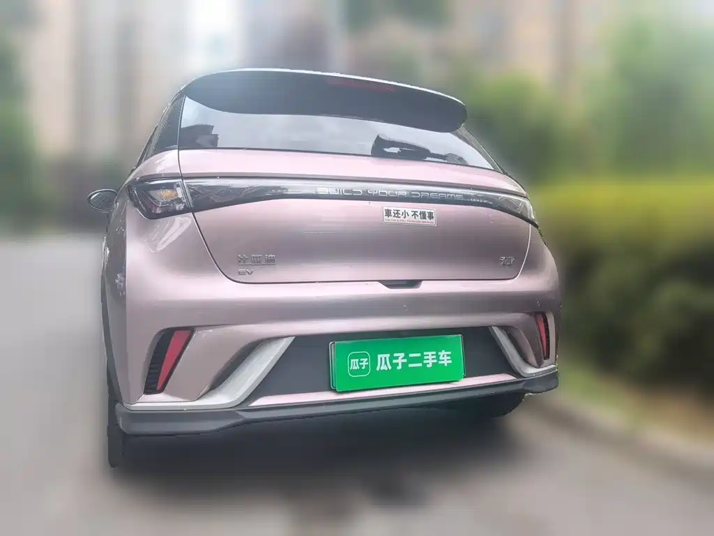 Photo 3 - BYD Dolphin