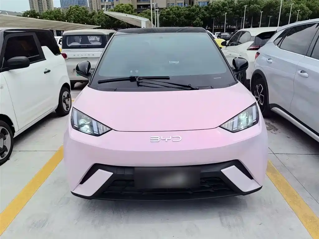 BYD Seagull 2024 Glory Edition 305km Vitality Edition фото 3