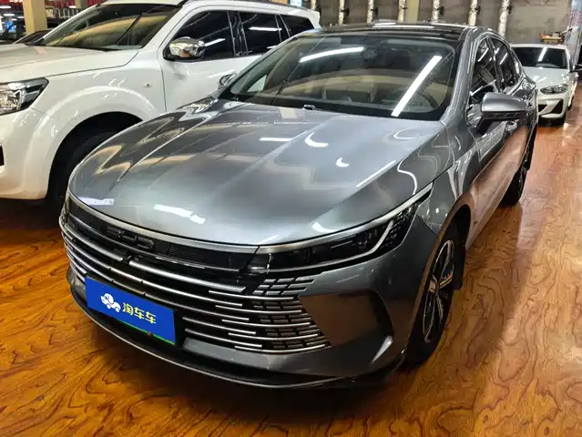 BYD Destroyer 05 2024