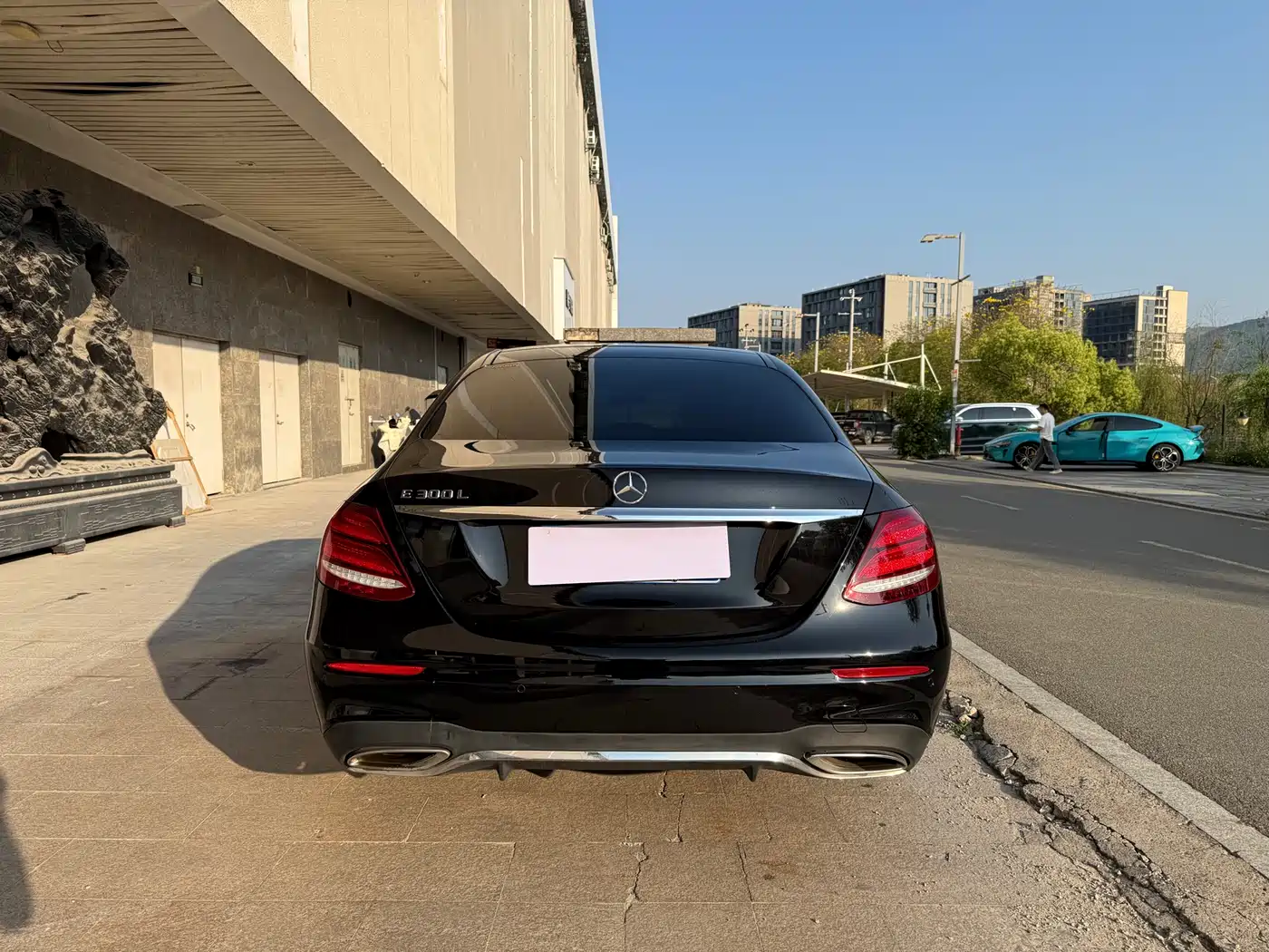 Mercedes-Benz E-Class 2019 E 300 L Sport Luxury фото 7
