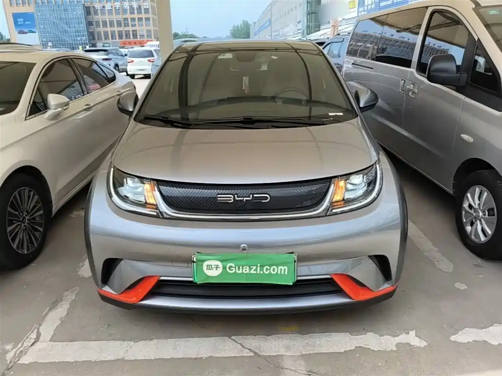 BYD Dolphin 2021 Model 405km Fashion Edition фото 3