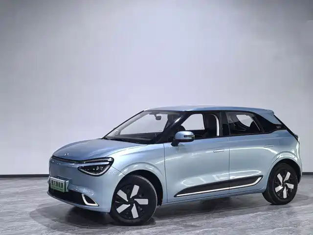 Dongfeng Yipai Nano 01 2024