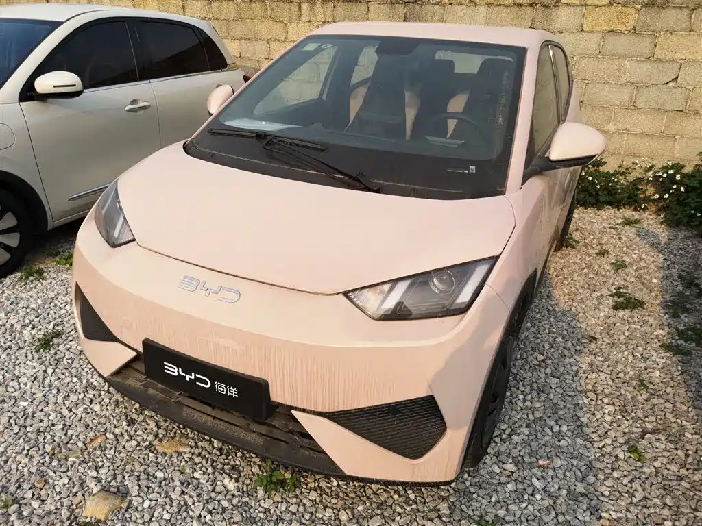BYD Seagull 2025 Smart Drive Edition 305km Vitality Version фото 2