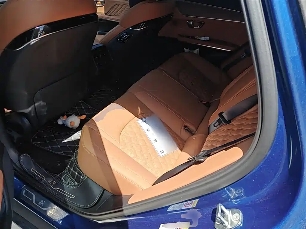 BYD Han 2020 EV AWD High-Performance Flagship фото 17