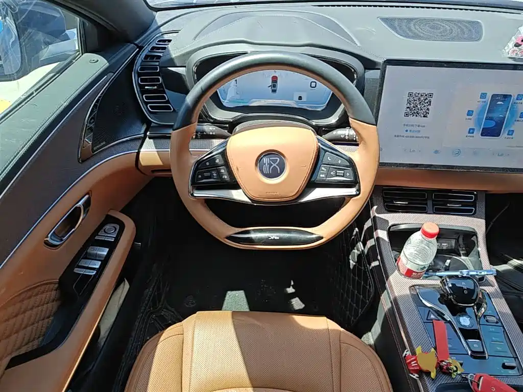 BYD Han 2020 EV AWD High-Performance Flagship фото 11