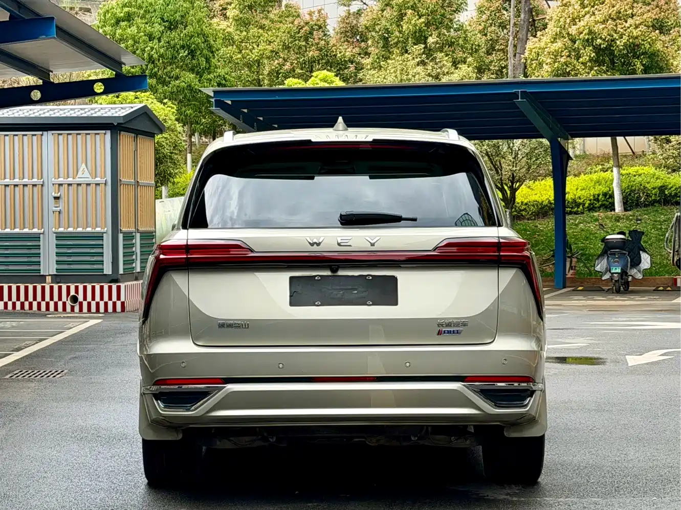 WEI PAI WEI BRAND BLUE MOUNTAIN