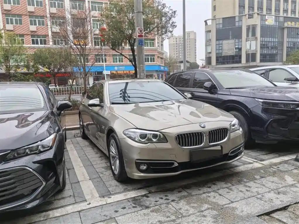 BMW 5 Series 2012 523Li Luxury фото 3