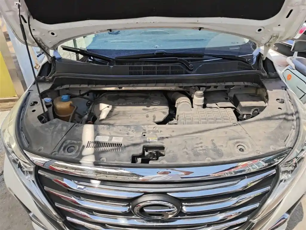 GAC Trumpchi Trumpchi M8 2020 Pilot 390T Prestige Edition фото 20