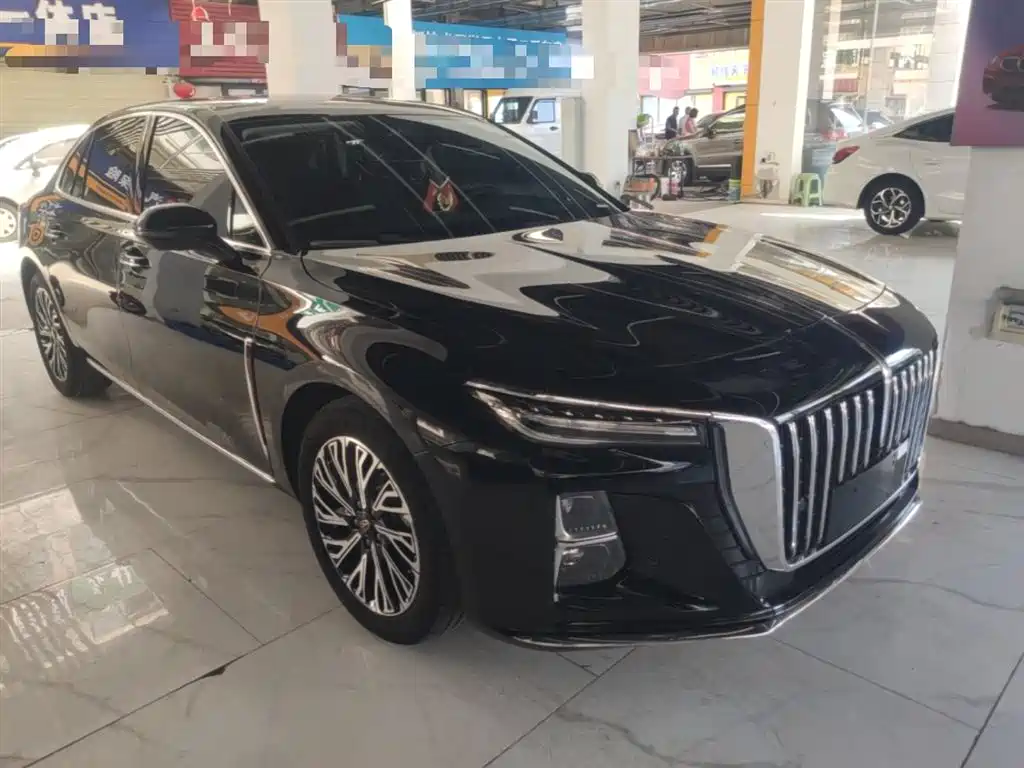 Hongqi H5 2024 2.0T Automatic Smart Connect Flag Smooth Edition фото 4