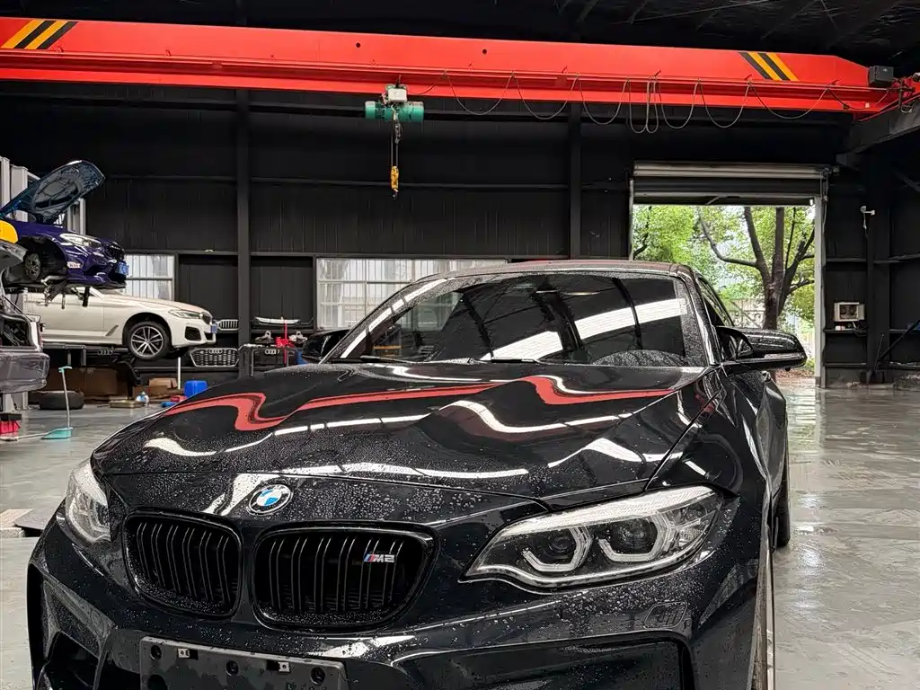 BMW M2 2018 M2 фото 2
