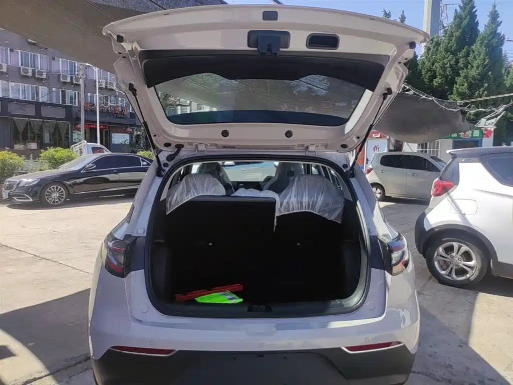 Geely Galaxy Starry Wish 2026 Edition Top Configuration фото 19