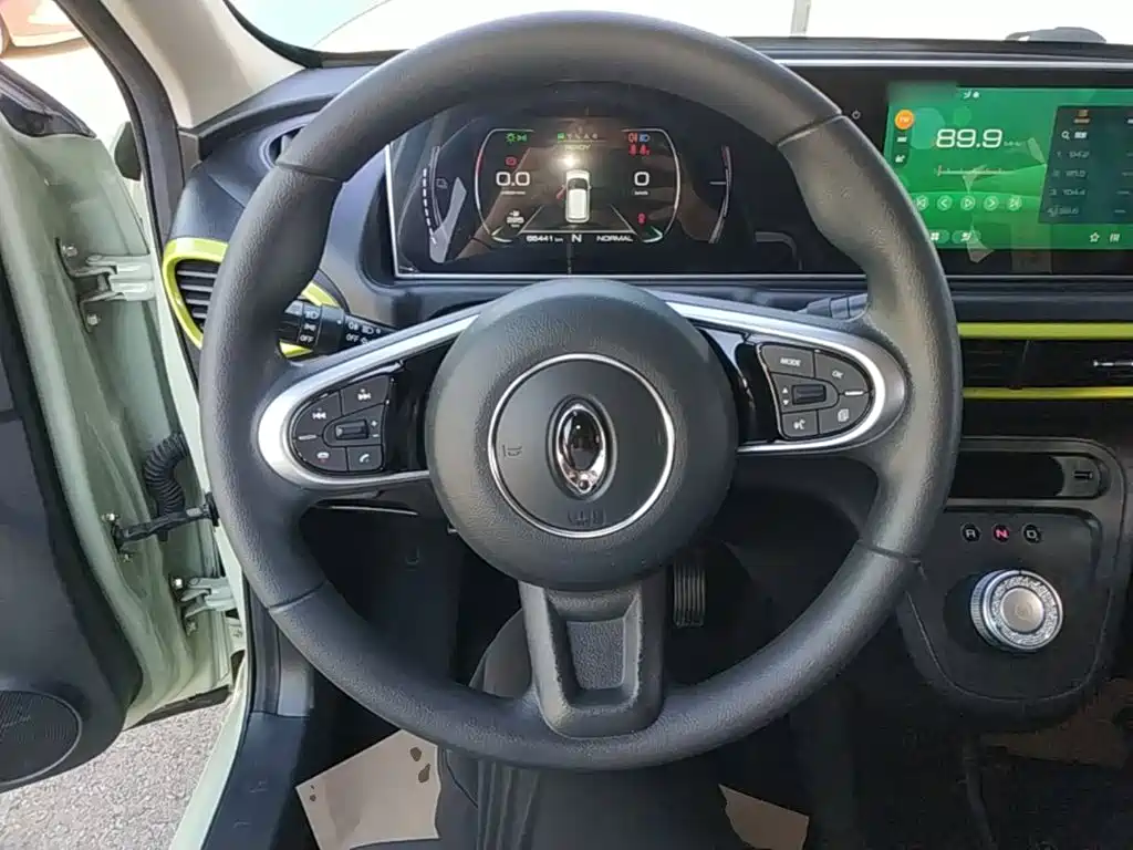 Ora White Cat 2021 2020 305km Luxury