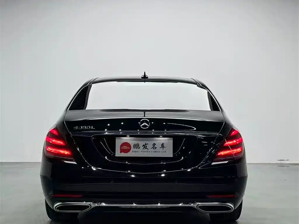 Mercedes-Benz S-Class 2020 S 350 L Premium Edition Collector's Version фото 19