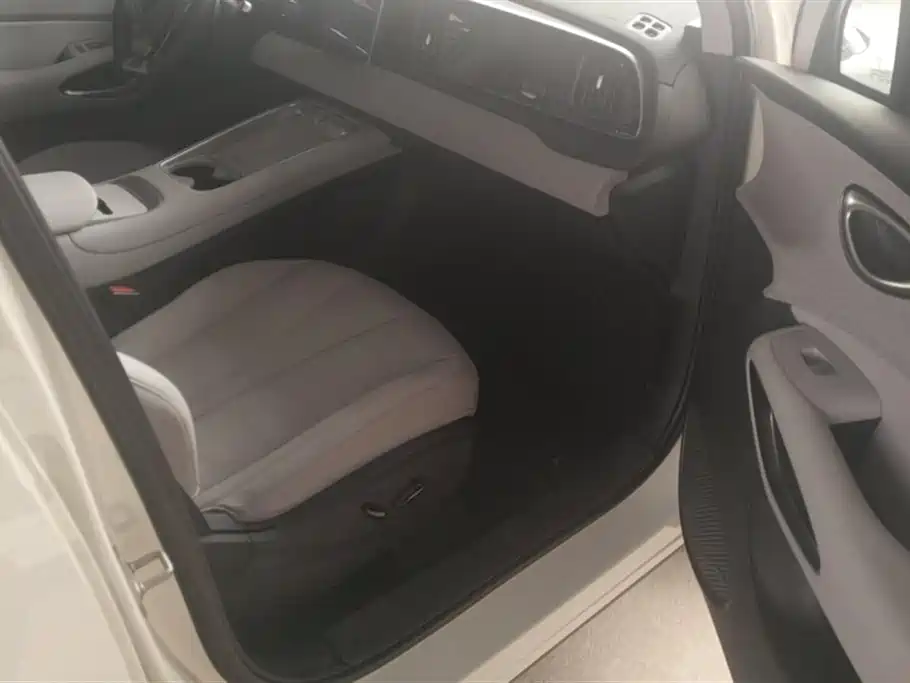 BYD Hai Shi 05 EV 2025 520KM Smart Navigation Edition фото 8